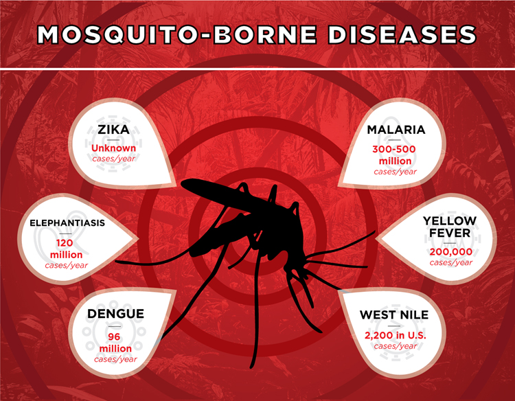 Mosquitoes World's Deadliest Animal IP Global Holdings Pte Ltd