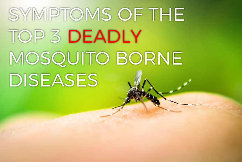 Symptoms of the deadliest Mosquito Borne Diseases IP Global Holdings